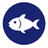 Pescado pescado
