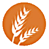gluten